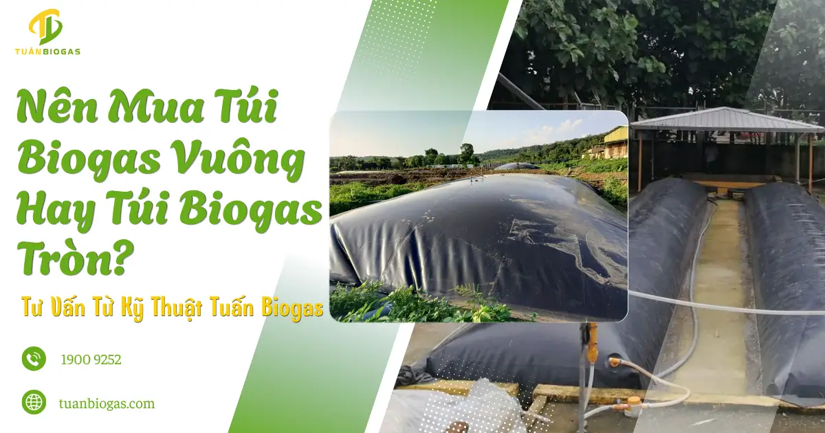Nên Mua Túi Biogas Vuông Hay Túi Biogas Tròn? Tư Vấn Chi Tiết Từ Kỹ Thuật Tuấn Biogas